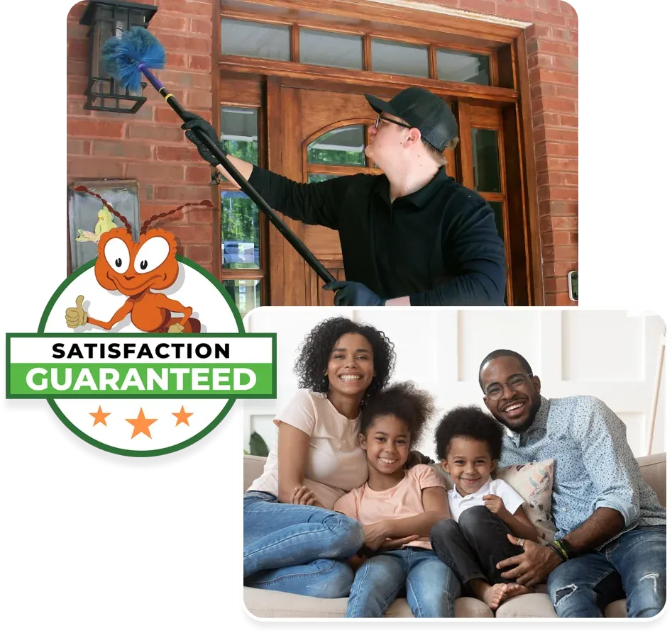 happy family in pest free home